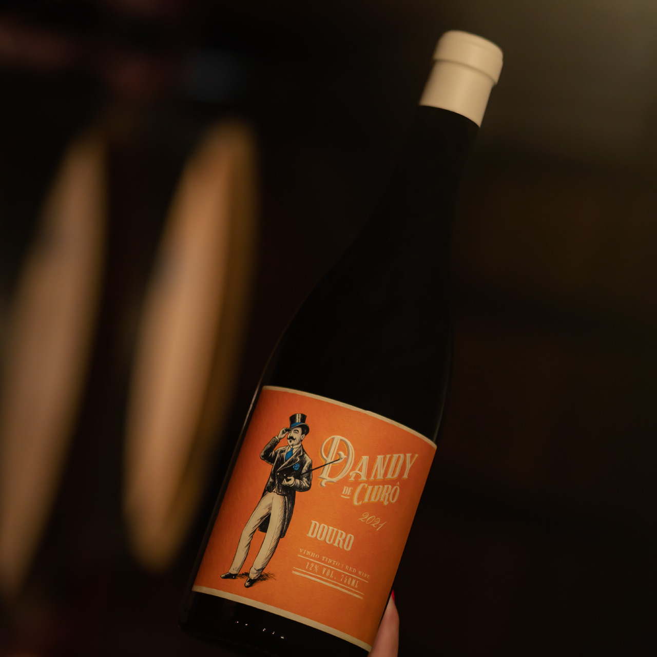Dandy de Cidrô tinto