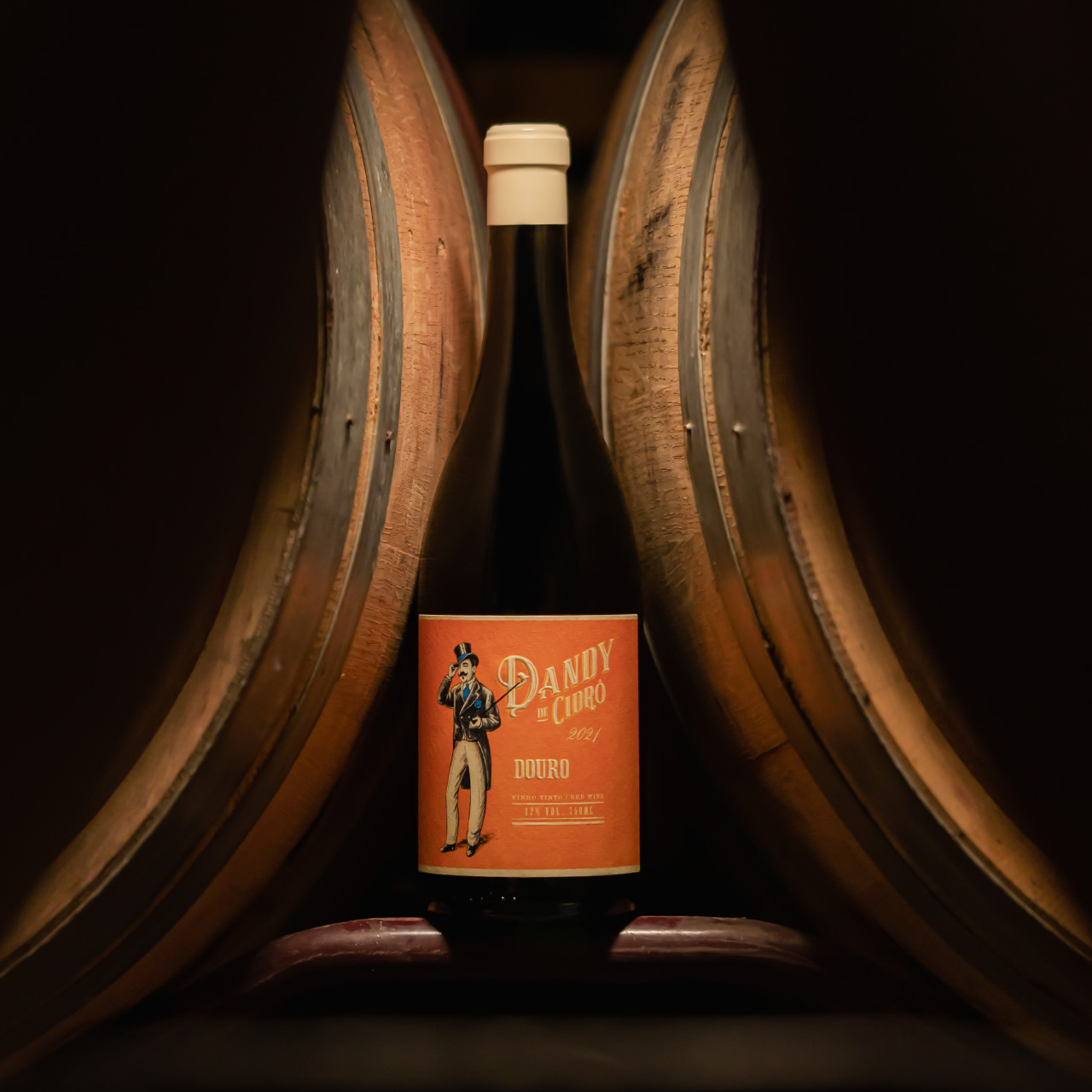 Dandy de Cidrô tinto